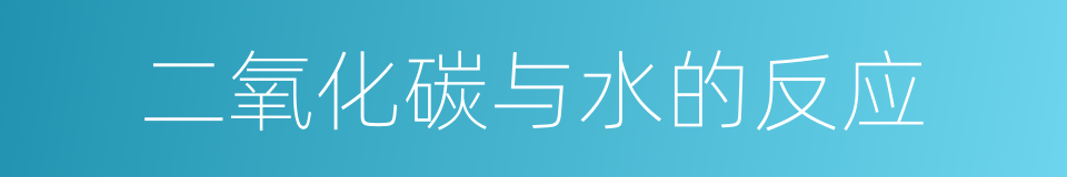 二氧化碳与水的反应的同义词