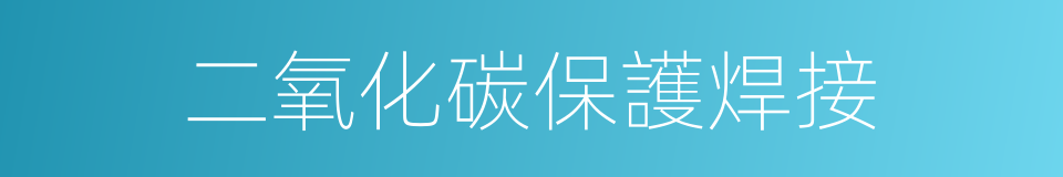 二氧化碳保護焊接的同義詞