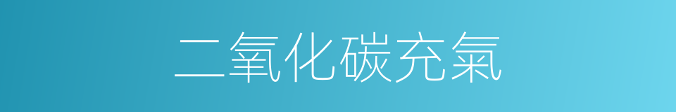 二氧化碳充氣的同義詞