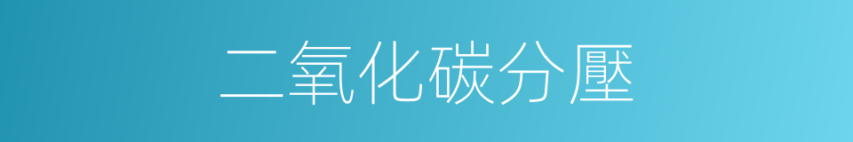 二氧化碳分壓的同義詞