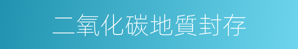 二氧化碳地質封存的同義詞