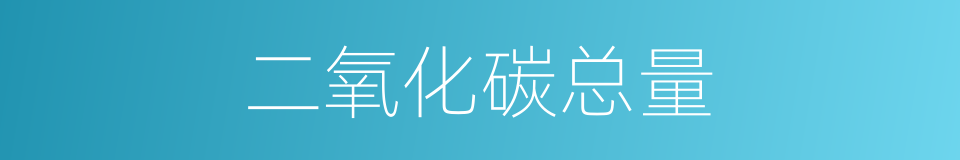 二氧化碳总量的同义词