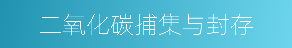 二氧化碳捕集与封存的同义词