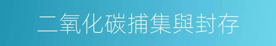 二氧化碳捕集與封存的同義詞