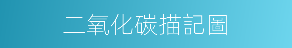 二氧化碳描記圖的同義詞
