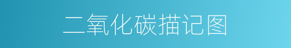 二氧化碳描记图的同义词