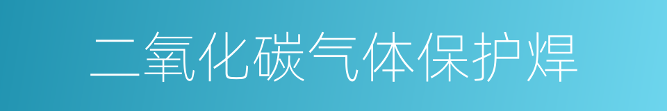 二氧化碳气体保护焊的同义词