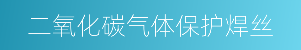 二氧化碳气体保护焊丝的同义词