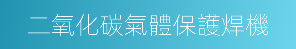 二氧化碳氣體保護焊機的同義詞