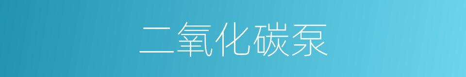 二氧化碳泵的同义词