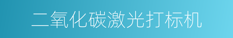 二氧化碳激光打标机的同义词