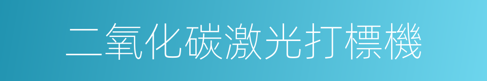 二氧化碳激光打標機的同義詞