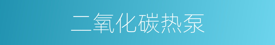二氧化碳热泵的同义词