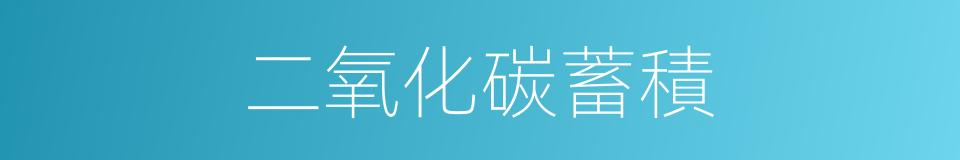 二氧化碳蓄積的同義詞