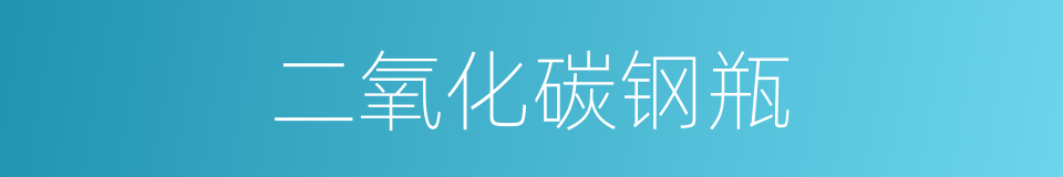 二氧化碳钢瓶的同义词