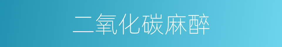 二氧化碳麻醉的同义词