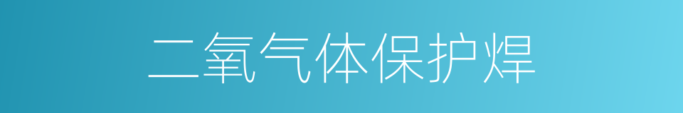 二氧气体保护焊的同义词
