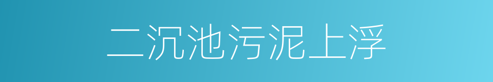 二沉池污泥上浮的同义词