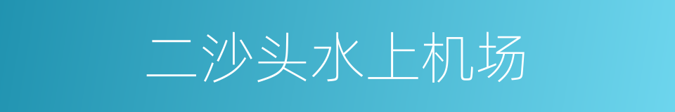 二沙头水上机场的同义词