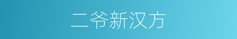 二爷新汉方的同义词