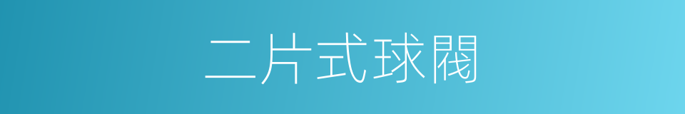 二片式球閥的同義詞