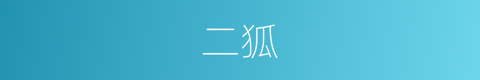 二狐的同义词