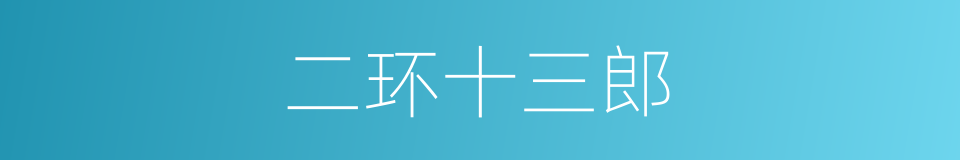 二环十三郎的同义词