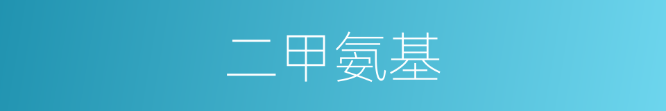 二甲氨基的同义词