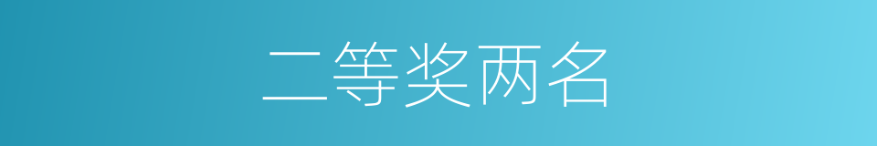 二等奖两名的同义词