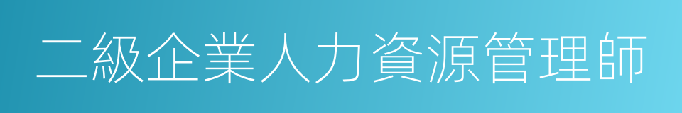 二級企業人力資源管理師的同義詞