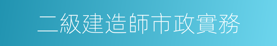 二級建造師市政實務的同義詞