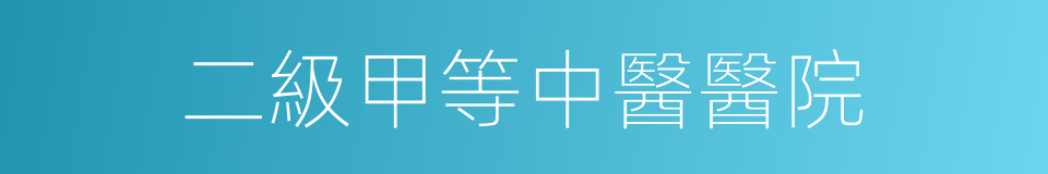 二級甲等中醫醫院的同義詞