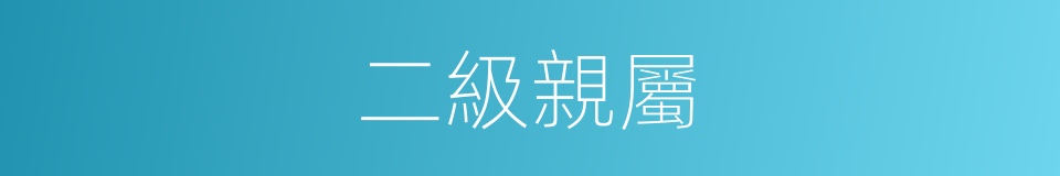 二級親屬的同義詞