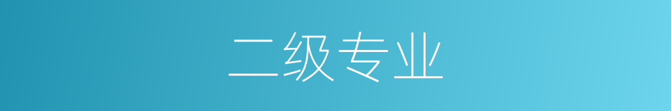 二级专业的同义词