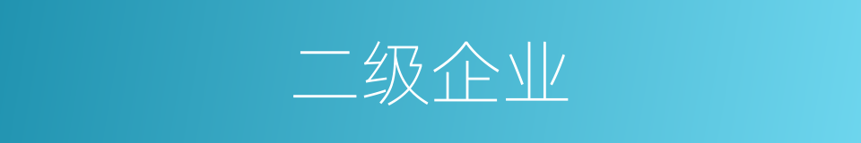 二级企业的意思