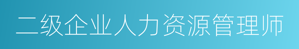 二级企业人力资源管理师的同义词