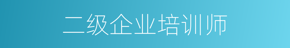 二级企业培训师的同义词