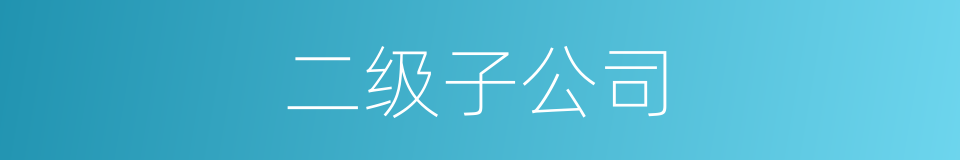 二级子公司的同义词