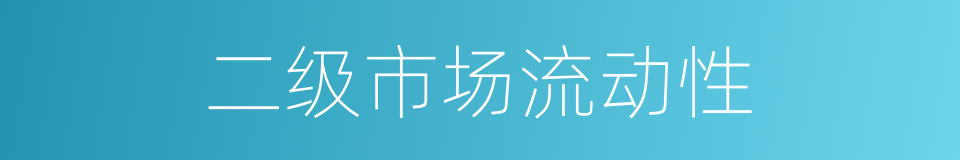 二级市场流动性的同义词