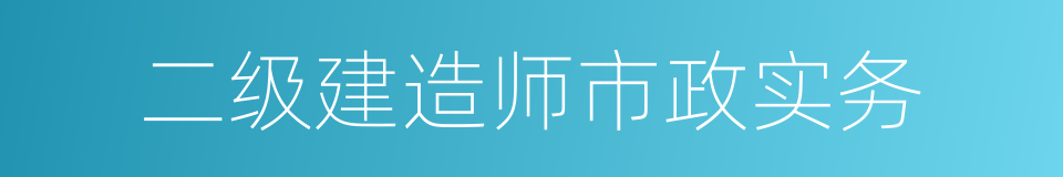 二级建造师市政实务的同义词