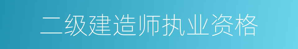 二级建造师执业资格的同义词