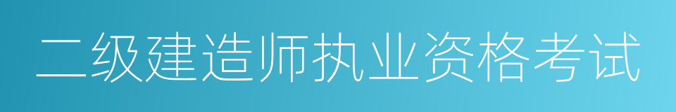 二级建造师执业资格考试的同义词