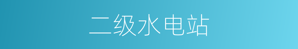 二级水电站的同义词