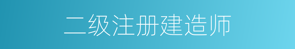 二级注册建造师的同义词