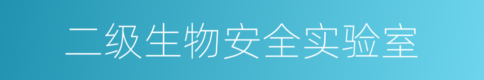 二级生物安全实验室的同义词