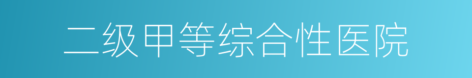 二级甲等综合性医院的同义词