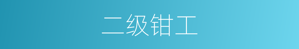 二级钳工的同义词