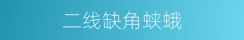 二线缺角蛱蛾的同义词