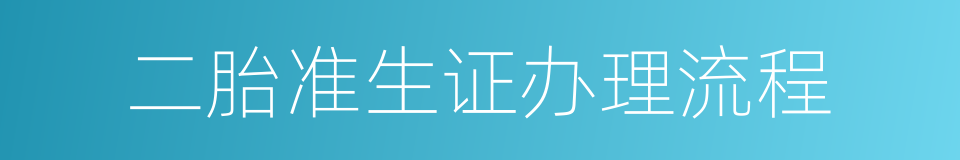 二胎准生证办理流程的同义词