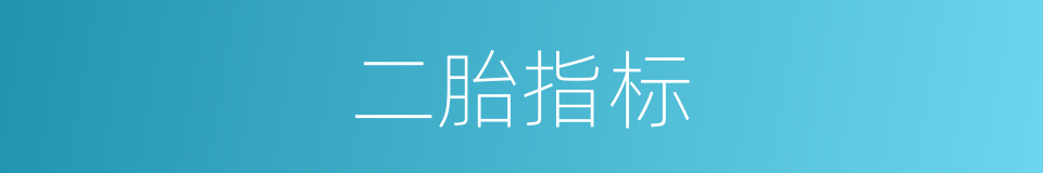 二胎指标的同义词